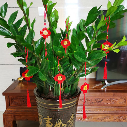 乔迁房间布置发财树植物盆景挂饰植绒福字灯笼中国结挂件进宅装饰