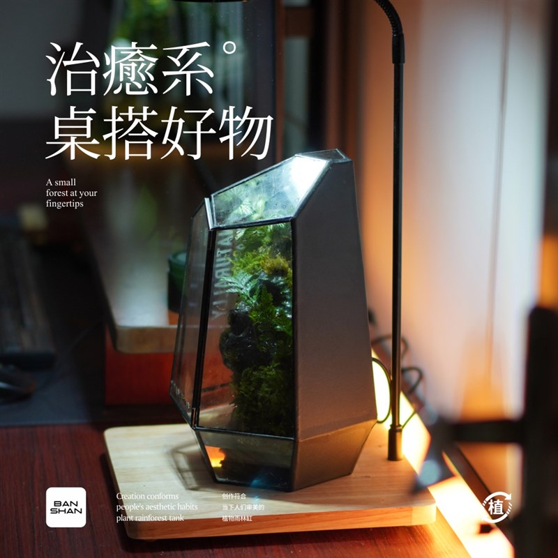 BANSHAN小森林流水桌面植物雨林缸家居网红小众定制摆件解压送礼