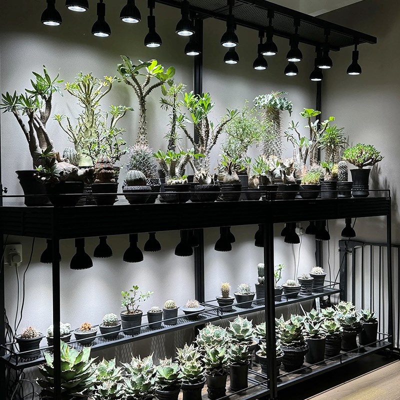 光联天下植物补光灯专用配件E27轨道灯架LED夹子灯座鱼缸软管支架图片