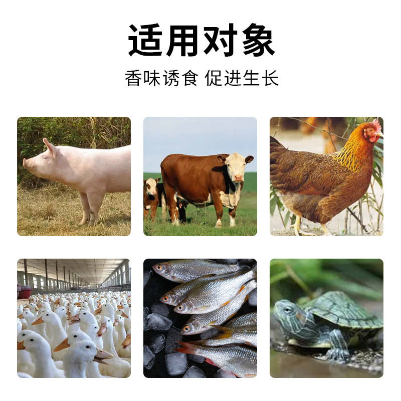 大蒜素粉兽用鱼用鱼食水产专用鸡鸭牛羊猪用诱食开胃饲料添加剂