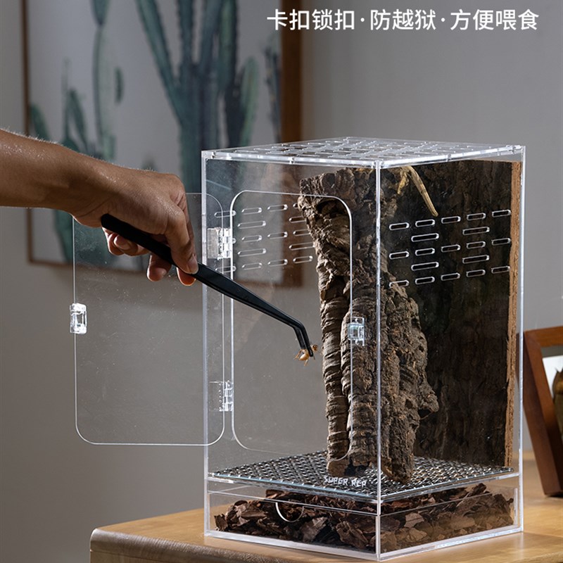 爬虫亚克力透气饲养箱睫角树栖宠物姥爷蛙专用全景雨林造景生态缸