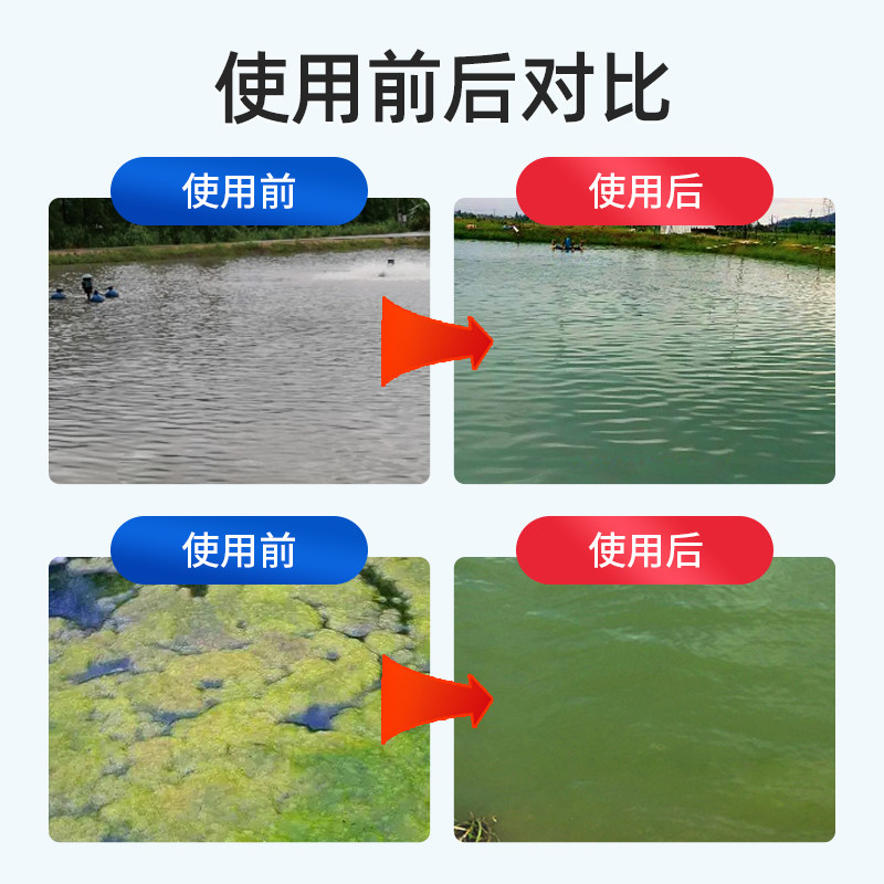 小球藻种水产养殖小球藻绿藻硅藻种鱼虾蟹塘水产复合藻种肥水培藻