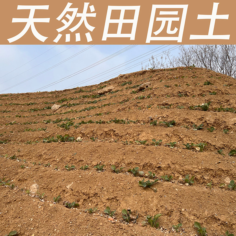 天然田园土壤种植土优质种菜专用通用营养花土碗莲盆栽树泥巴种树