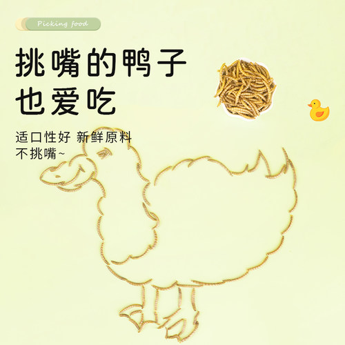 柯尔鸭面包虫干零食芦丁鸡仓鼠粮食龟粮鸟食饲料用品营养美毛亮羽