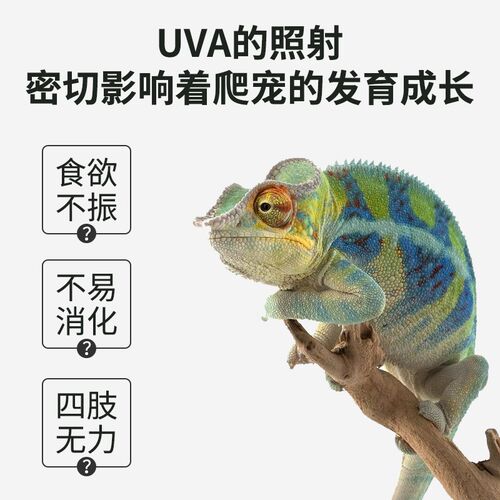 爬宠UVA加热灯日灯夜灯陆龟蜥蜴箱守宫变色龙月光灯保温灯陶瓷灯