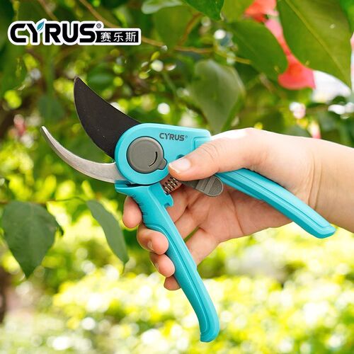花剪植物园艺剪刀修枝剪家用树枝花草修剪工具园林花枝盆栽剪子