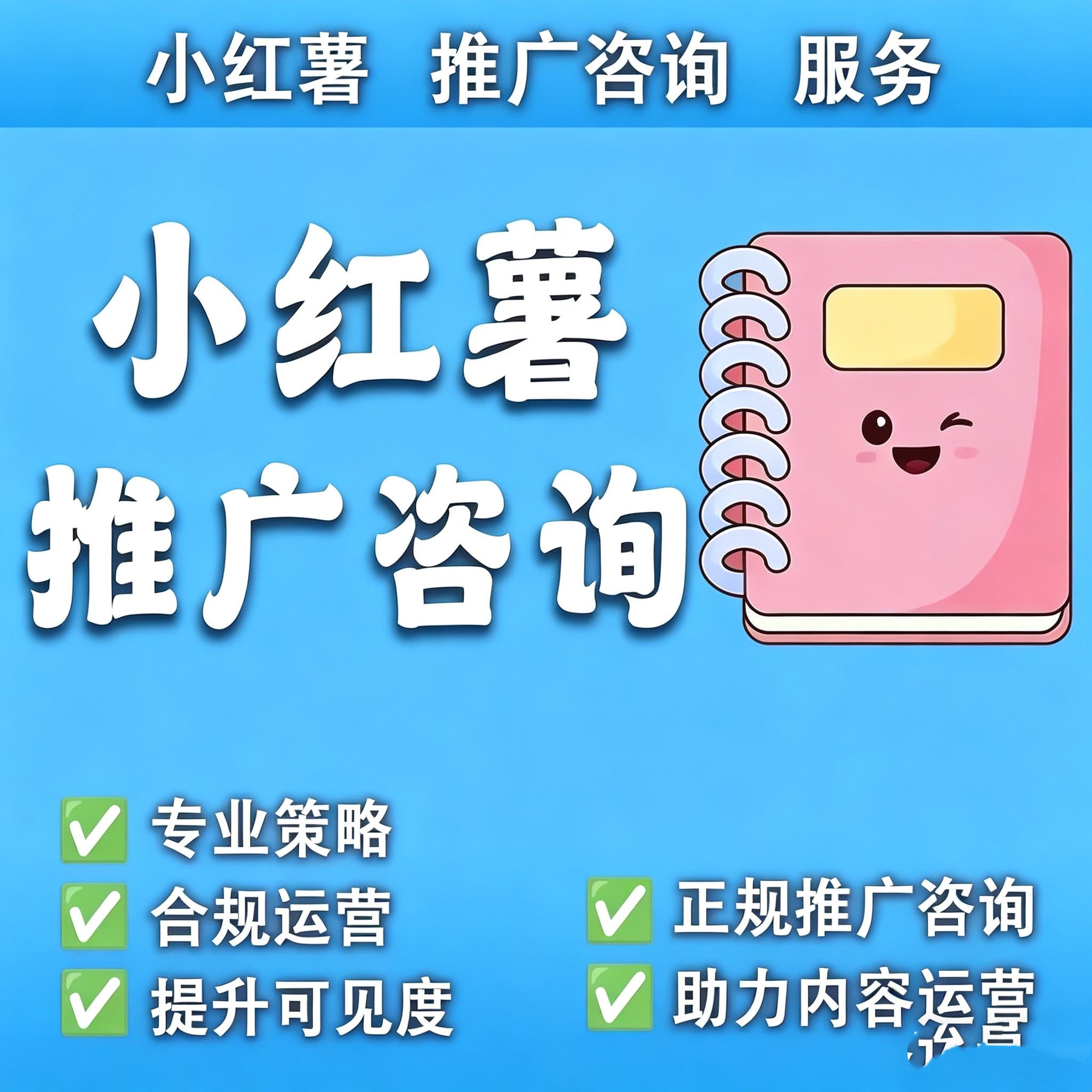 小红xhs书投放运营推广推送服务图片