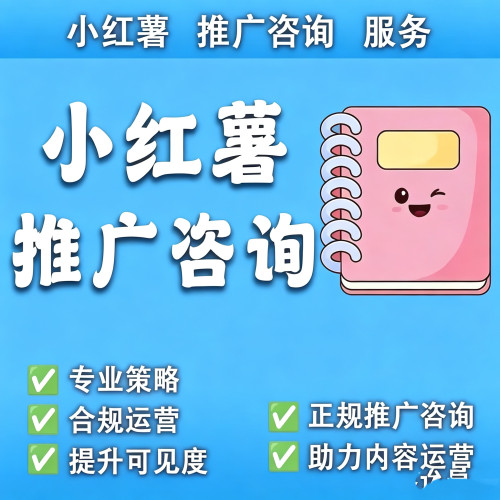 小红xhs书投放运营推广推送服务