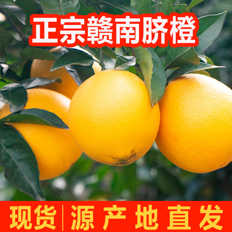 正宗江西赣南脐橙于都县原产地直发维C满满爆汁新鲜水果精品橙子,水产肉类/新鲜蔬果/熟食,橙,淘宝优惠券,粉丝福利购,淘宝优惠卷