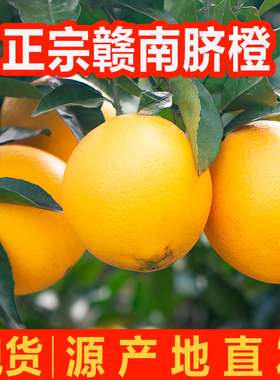 正宗江西赣南脐橙于都县原产地直发维C满满爆汁新鲜水果精品橙子