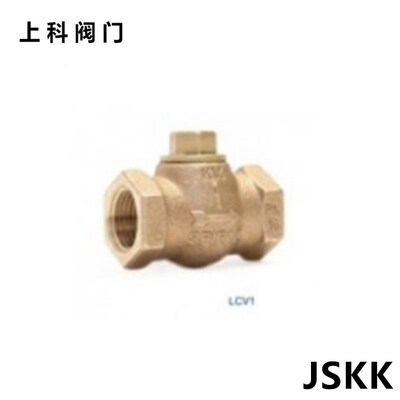 斯派莎克LCV1止回阀升降式止回阀螺纹止回阀黄铜止回阀 dn15 20