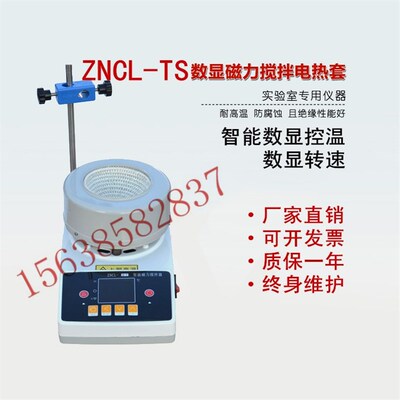 ZNCL-TS数显磁力电热套搅拌器50ML 100ML 250ML500ML磁力电热套