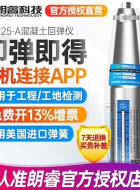 山东朗睿HT225-A机械回弹仪 混凝土抗压强度检测仪 工程工具带证