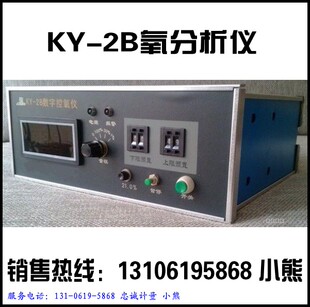 控氧仪KY-2B氧检控氧仪 溶氧仪测氧报警仪 氧控仪氧分析仪直销