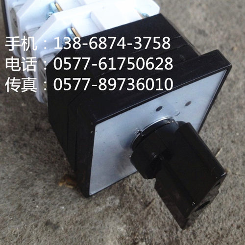LW12-16 LW38A-16 C0393/2 万能转换开关 2档2节 全铜件 银触点
