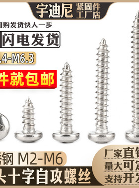 不锈钢304圆头自攻螺丝盘头十字木螺钉尖头自钻防锈钉2M3M4M5M6厘