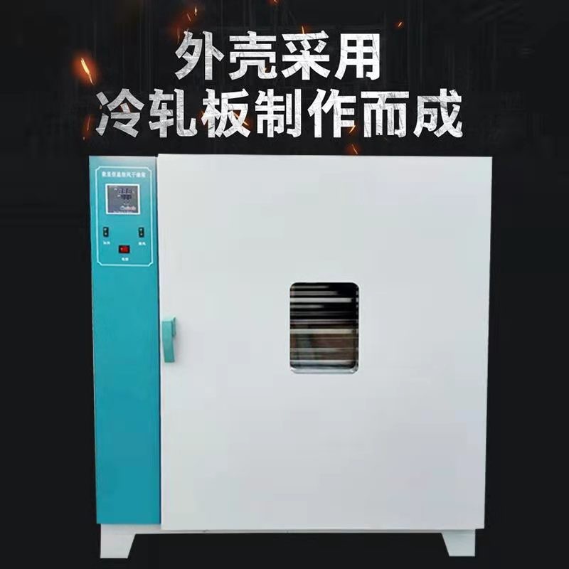 电热恒温鼓风干燥箱实验室高温工业烤箱汽车轮毂大灯烘干箱可定制
