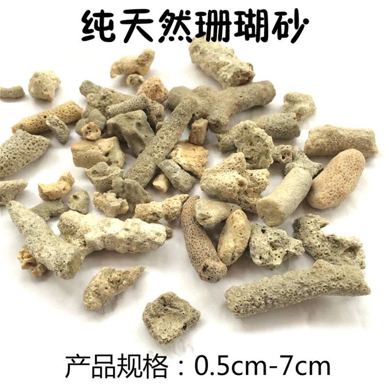 鱼缸过滤材料珊瑚石珊瑚砂玻璃陶瓷环火山石珊瑚骨水族箱净水滤材