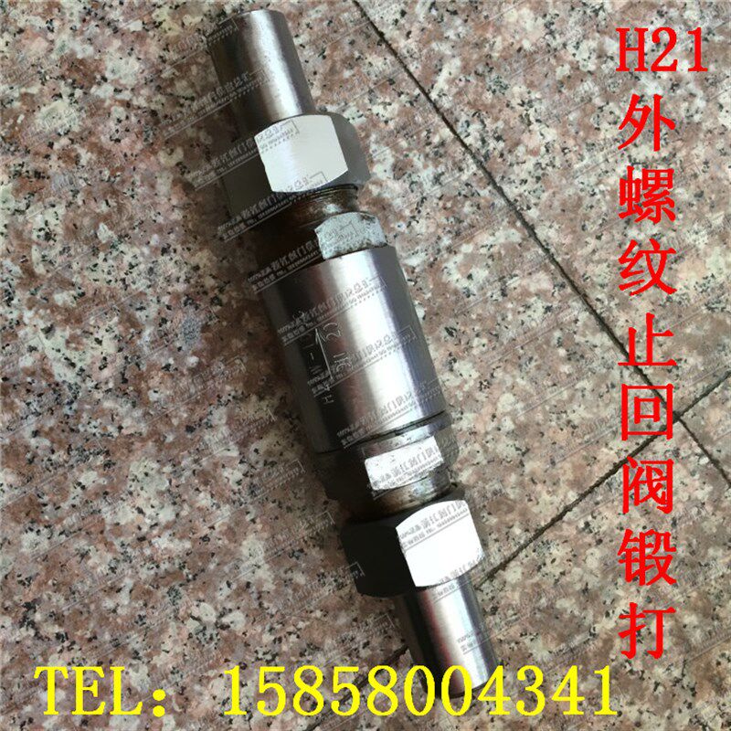 H21H/W-16C/25P/64P-DN25/32外螺纹焊接止回阀/不锈钢高压止回阀