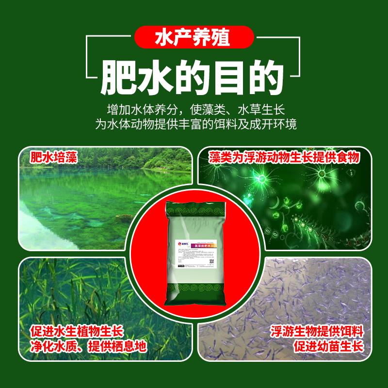 肥水王水产养殖专用肥水培藻鱼塘虾蟹塘氨基酸肥水膏低温肥水宝