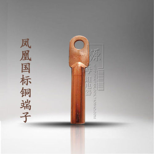 DT185平方凰国标铜鼻子 紫铜堵油铜端子 铜接线端子铜线耳