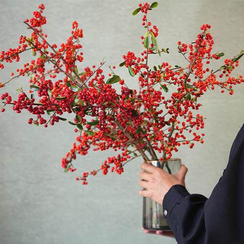 【云花甄选】火棘果鲜切枝鲜花云南直发火把果室内绿植插花鲜切花