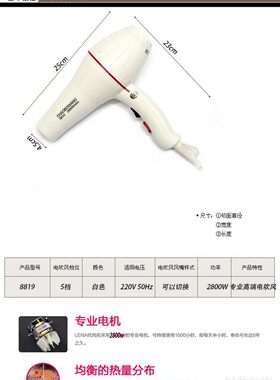 8819电吹风机筒2800W大功率家用电风吹发廊 吹风机理发店冷热风筒