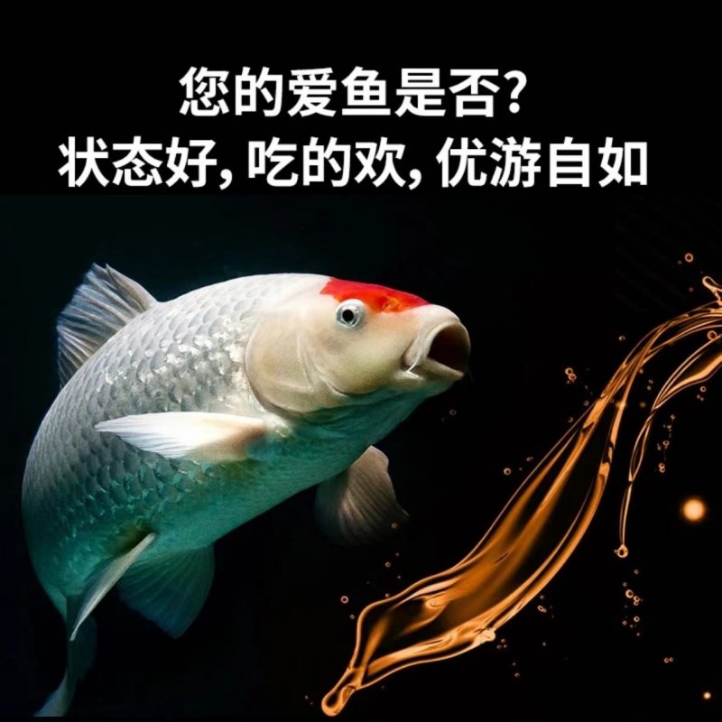 玛豆菌方锦鲤硝化菌优选高浓度PH值鱼池分解氨氮亚盐鱼缸快速净水