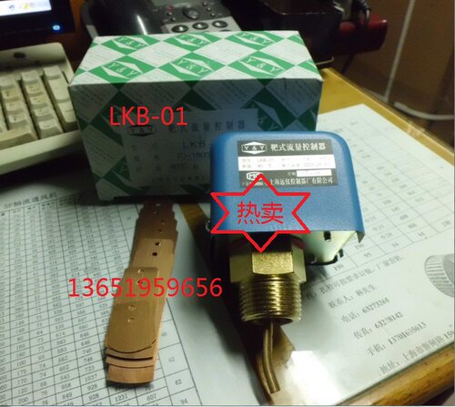 正品【上海远仪】靶式流量计 水流开关 LKB-01 靶式流量控制器