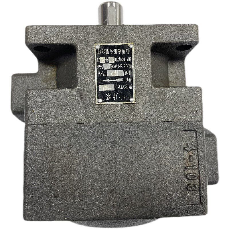 仙居液压件厂7130平面磨床配件专用叶片泵YB1-100噪音低质量好