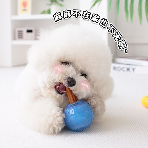 狗狗玩具夏季降温解暑磨牙冰球冰镇啃咬耐咬泰迪柴犬柯基互动玩具