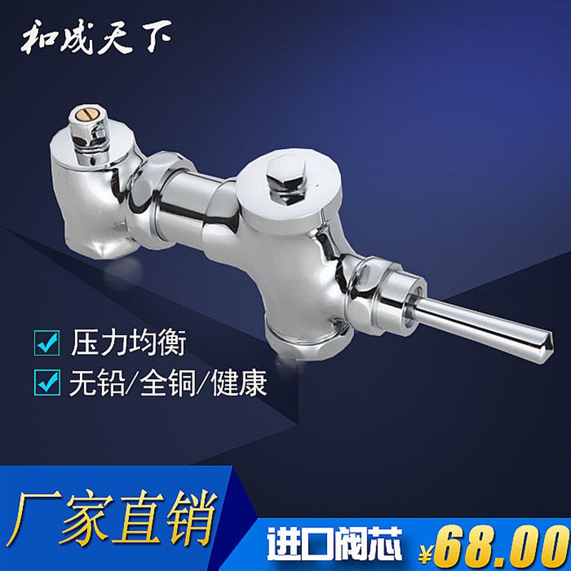 卧式手按式大便冲洗阀门蹲便厕所脚踏延时阀脚踩蹲便器冲水阀手板
