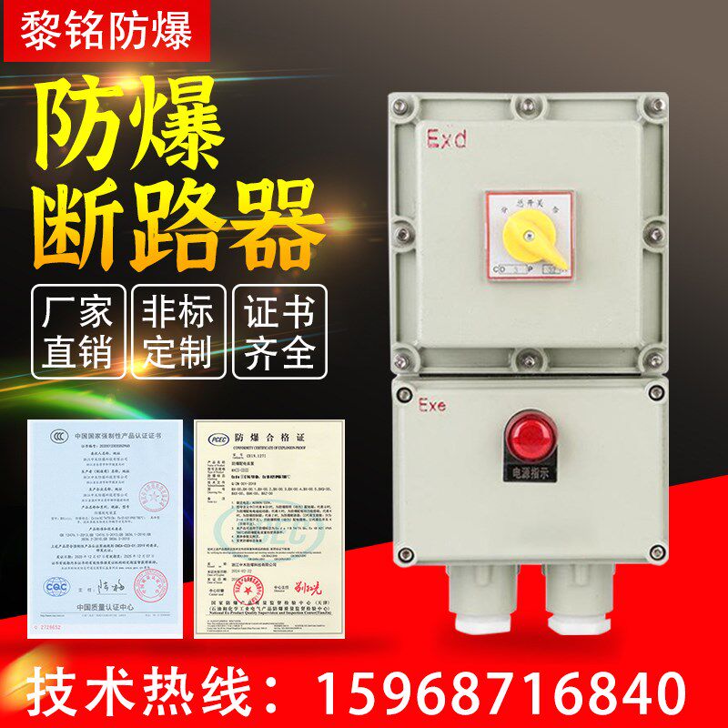 BDZ52防爆断路器10A16A20A32A63A100A2P32A防爆开关箱380V配电箱