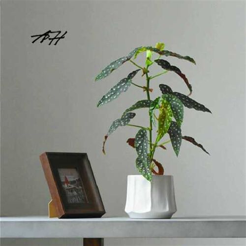 创意个性几何陶瓷花盆客厅阳台桌面绿植花盆净化空气除甲醛