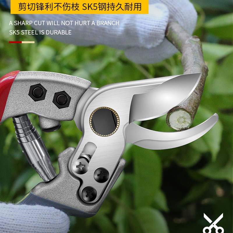果树修枝剪树枝专用剪子剪枝园林工具花剪修剪花艺花卉剪园艺剪刀图片