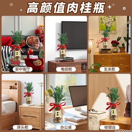 肉桂生财玻璃瓶摆件办公室桌面招财客厅乔迁之喜新居搬家入宅礼物