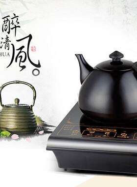 煮汤锅电磁炉小型传统迷1000W小号中式个性茶壶商场德式调节