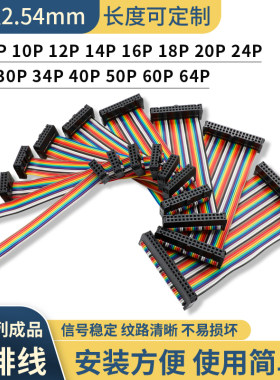 FC2.54双母头延长线彩排线同向10cm/20cm/30cm电子线端子线6-64P