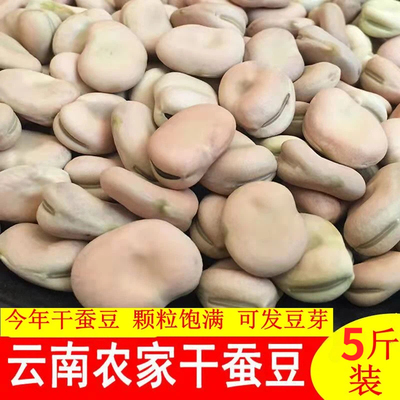 【农家原产】干蚕豆新货干豆
