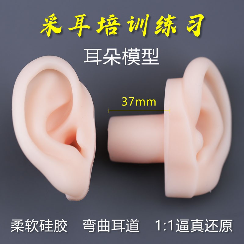 采耳假耳朵仿真硅胶耳朵模型高级采耳工I具套装培训学员练习长耳