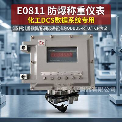 优E0811防爆称重地磅量程1吨2吨3吨（RS485/4-20mA/开关量等）