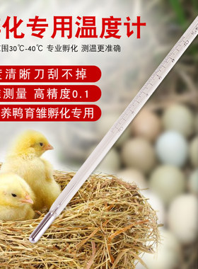 精度孵化温度计 水银温度计30-40 专用于孵化器精准0.1度