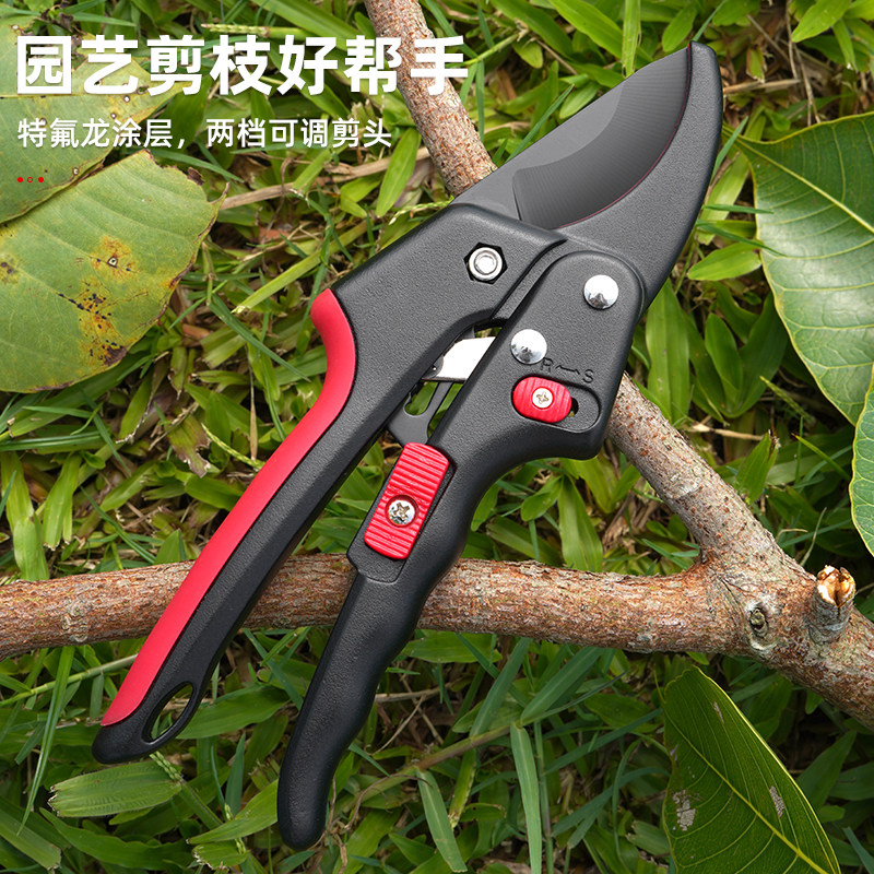德国进口果树修枝剪树枝花艺花卉枝剪子粗枝剪枝园林工具修花剪刀