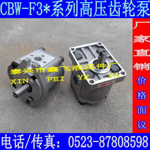 CBJ30-F04 f06 f08 f10 f12 f14 f16 f18 f20 f25高压齿轮油泵