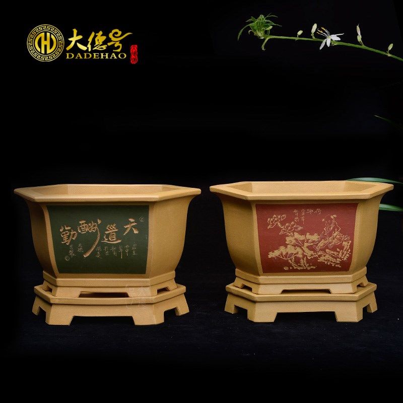 紫砂君子兰花盆 蝴蝶兰建兰多肉植物绿植盆栽精品六方刻绘带托盘