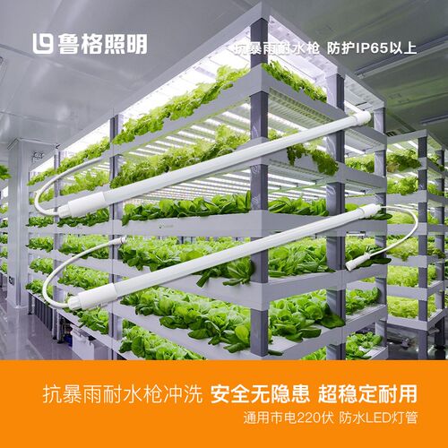 鲁格多肉补光上色全光谱仿太阳植物生长种菜育苗花卉防水led灯管
