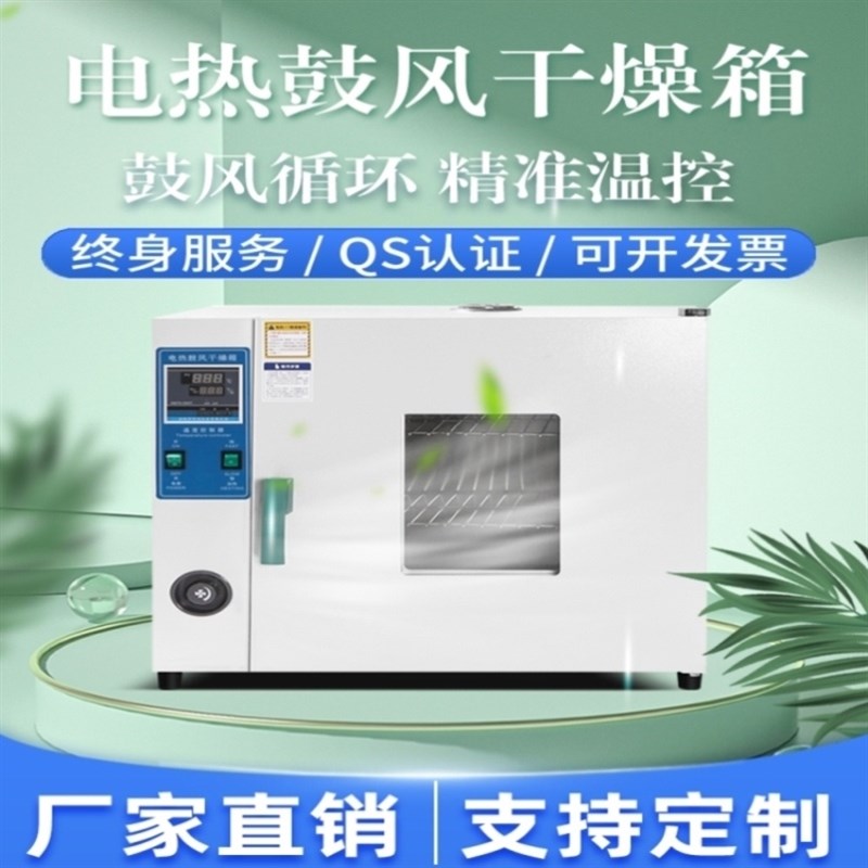 电热恒温b鼓风干燥箱实验室小型烘箱食品烘干机工业高温烤箱烘干