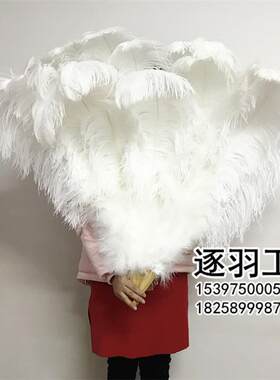 定制酒吧b夜店俱乐部舞台舞蹈表演演唱会走秀特大号鸵鸟羽毛扇包