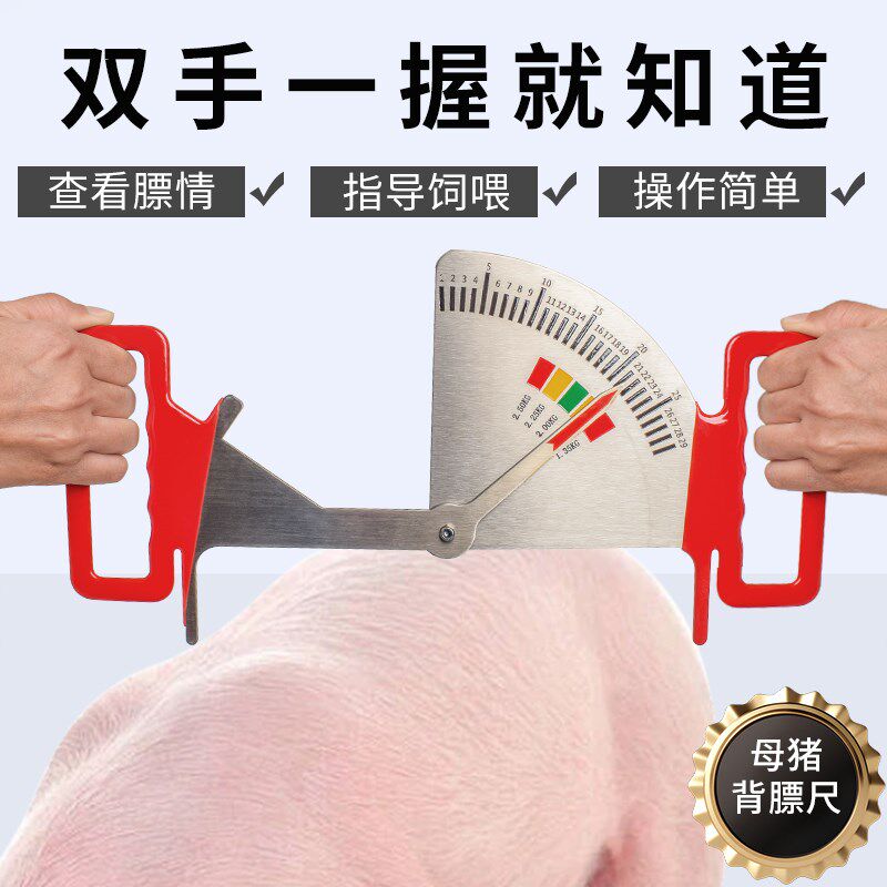 猪用饲喂卡d尺不锈钢喂料管理尺猪用膘情测定指导器妊娠母猪背膘