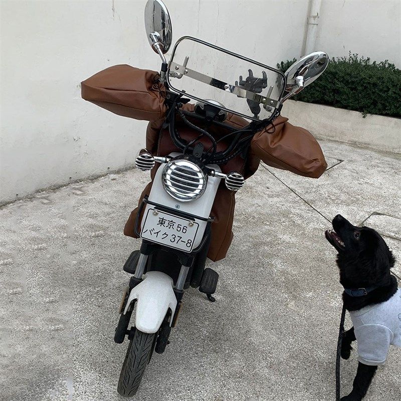 电动车挡风被分体冬季款摩托车挡风E被女士加绒加厚防水防寒防风